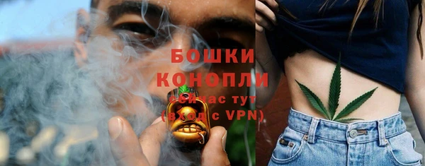 сатива Беломорск