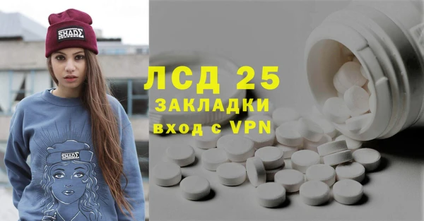 сатива Беломорск