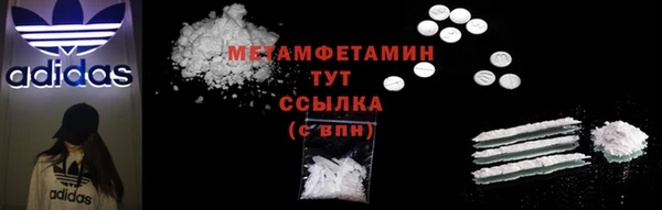 сатива Беломорск