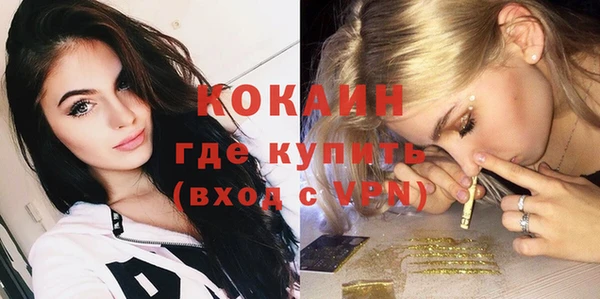 сатива Беломорск