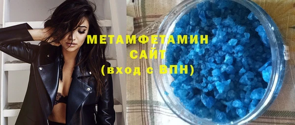 сатива Беломорск