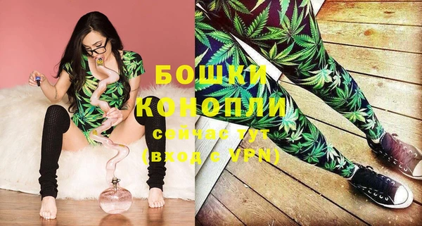 сатива Беломорск