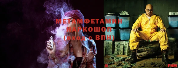 сатива Беломорск