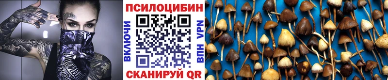 как найти   Белорецк  Псилоцибиновые грибы прущие грибы 