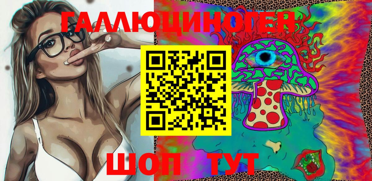 Псилоцибиновые грибы Psilocybe Белорецк