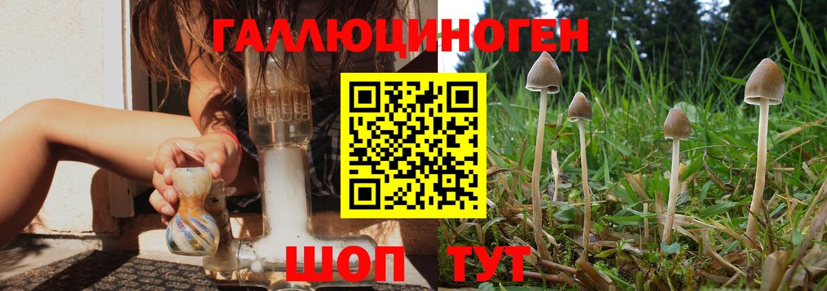 Белорецк  Псилоцибиновые грибы мицелий  Вход с VPN  Галлюциногенные грибы прущие грибы 