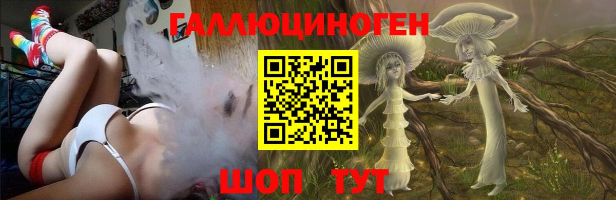 Галлюциногенные грибы Psilocybe  Белорецк 